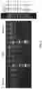 Fig. 06 - Genetically modified non-human animal with human or chimeric CD27