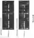 Fig. 07 - Genetically modified mice expressing humanized CD47