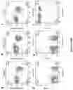 Fig. 09 - Genetically modified mice expressing humanized CD47