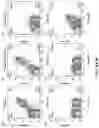 Fig. 08 - Genetically modified mice expressing humanized CD40