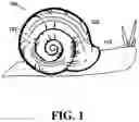 Fig. 02 - Mollusk with coated shell