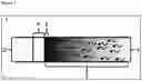Fig. 02 - Sustained release composition