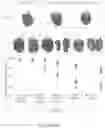 Fig. 09 - Biopolymer-based preservation of perishable products
