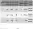 Fig. 02 - System and method for controlling the harshness of nicotine-based dry powder formulations