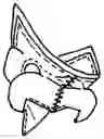 Fig. 01 - Edo cup 2.0