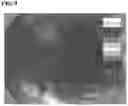 Fig. 09 - Processor for electronic endoscope, and electronic endoscope system