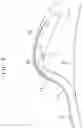 Fig. 07 - ENDOSCOPE AND ENDOSCOPE SYSTEM