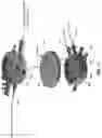 Fig. 55 - Method and apparatus for manipulating the side wall of a body lumen or body cavity so as to provide increased visualization of the same and/or increased access to the same, and/or for stabilizing instruments relative to the same