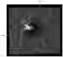 Fig. 01 - Volume analysis and display of information in optical coherence tomography angiography