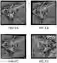Fig. 08 - Volume analysis and display of information in optical coherence tomography angiography