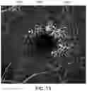 Fig. 16 - Volume analysis and display of information in optical coherence tomography angiography