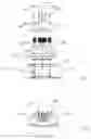 Fig. 06 - Optical imaging device and cap