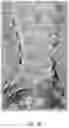 Fig. 07 - System and method for next-generation MRI spine evaluation