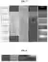 Fig. 08 - APPARATUS FOR MEASURING SKIN STATE BY MULTI-WAVELENGTH LIGHT SOURCE