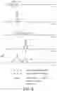 Fig. 06 - METHOD OF CHARACTERIZING SLEEP DISORDERED BREATHING