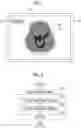 Fig. 06 - Medical image processing apparatus, method, and program