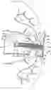 Fig. 01 - Universal linear surgical stapling buttress