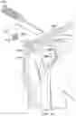 Fig. 20 - Surgical device deployment apparatuses