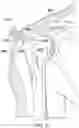 Fig. 21 - Surgical device deployment apparatuses