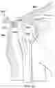 Fig. 22 - Surgical device deployment apparatuses