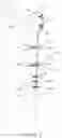 Fig. 04 - Bone fracture fixation clamp