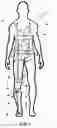Fig. 02 - Wearable Mobility Assisting Apparatus