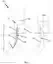 Fig. 02 - Compression garment