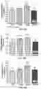 Fig. 22 - VAGINAL INSERTED ESTRADIOL PHARMACEUTICAL COMPOSITIONS AND METHODS