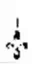 Fig. 02 - CAMPTOTHECIN PEPTIDE CONJUGATES