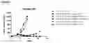 Fig. 09 - CAMPTOTHECIN PEPTIDE CONJUGATES