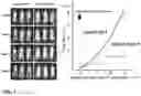 Fig. 06 - CHIMERIC ANTIGEN RECEPTOR GENE-MODIFIED LYMPHOCYTE HAVING CYTOCIDAL EFFECT