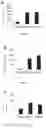 Fig. 09 - Combination inhibiting MEIS proteins