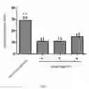 Fig. 06 - Tablet of sporoderm-removed ganoderma lucidum spore and preparation method thereof