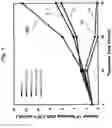 Fig. 06 - Processed food and pharmaceutical composition having watermelon sprout-derived substances as main ingredients