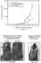 Fig. 02 - METHODS AND COMPOSITIONS FOR TREATING TUMORS