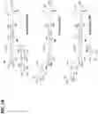 Fig. 02 - Carbohydrate structures and uses thereof