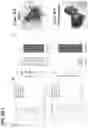 Fig. 09 - Carbohydrate structures and uses thereof