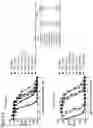 Fig. 09 - CONJUGATED PROTEASE TARGETING MOIETIES