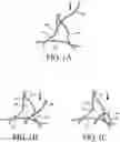 Fig. 02 - High density fibrous polymers suitable for implant