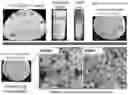 Fig. 01 - Surgically-friendly tissue papers from organ-specific decellularized extracellular matrices