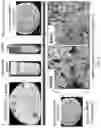 Fig. 02 - Surgically-friendly tissue papers from organ-specific decellularized extracellular matrices