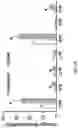 Fig. 06 - Surgically-friendly tissue papers from organ-specific decellularized extracellular matrices
