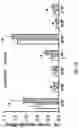 Fig. 07 - Surgically-friendly tissue papers from organ-specific decellularized extracellular matrices