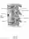 Fig. 02 - System, devices, and methods combining spinal stabilization and neuromodulation