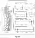 Fig. 06 - System for selective spatiotemporal stimulation of the spinal cord