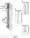 Fig. 07 - System for selective spatiotemporal stimulation of the spinal cord