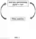 Fig. 02 - Homopolymer encoded nucleic acid memory