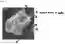 Fig. 02 - Superabsorbent polymer and preparation method thereof