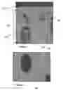Fig. 01 - Mold compositions and methods for casting titanium and titanium aluminide alloys