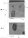 Fig. 02 - Mold compositions and methods for casting titanium and titanium aluminide alloys